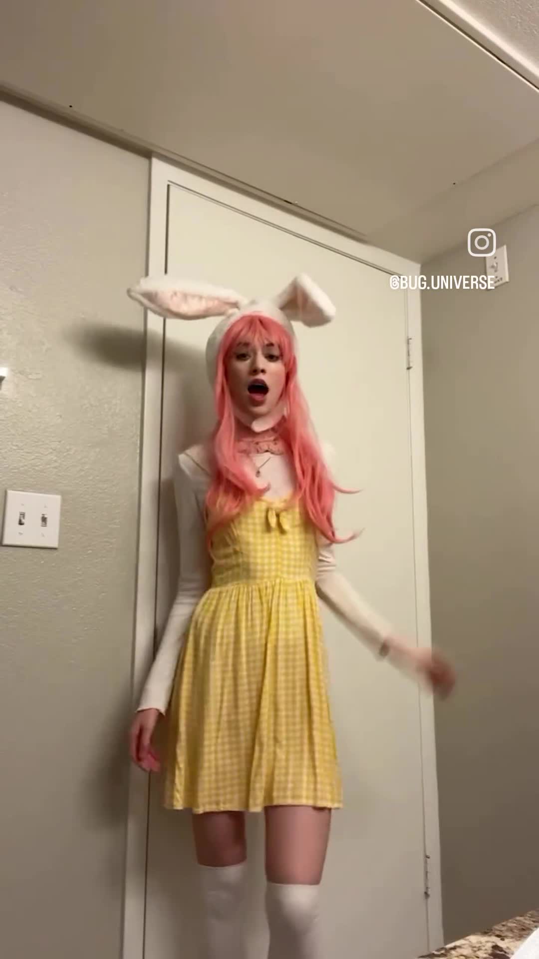 Video 1445052 from bug.universe
