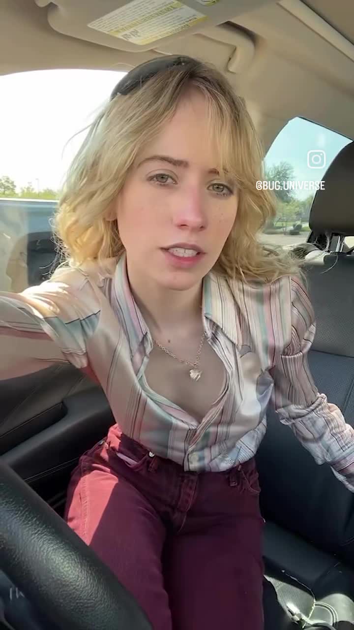 Video 1445056 from bug.universe