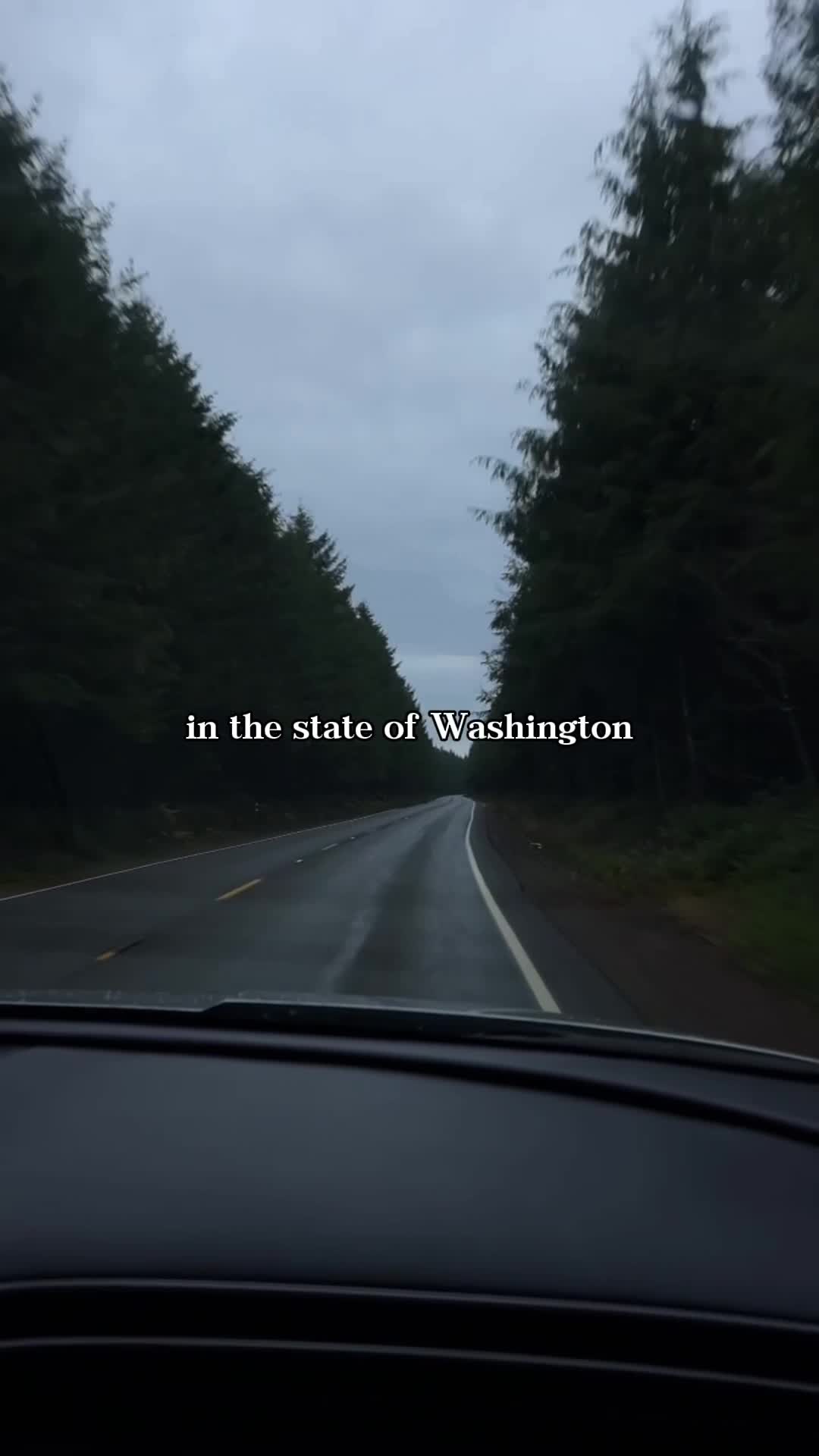 Video 1460555 from Renatarii | Renata Ri