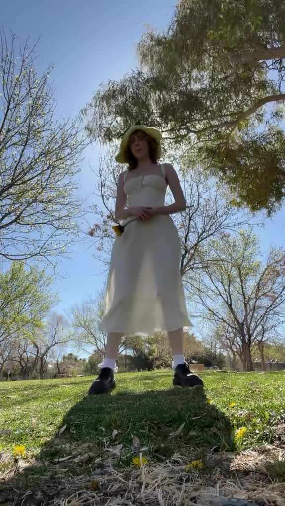 Video 1463485 from bug.universe