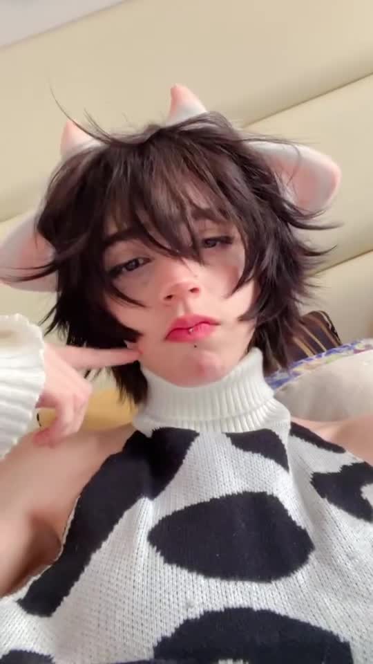 Video 1463504 from 1creppy / bingus cat / _1creepyy