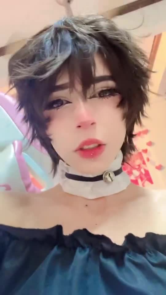 Video 1463502 from 1creppy / bingus cat / _1creepyy