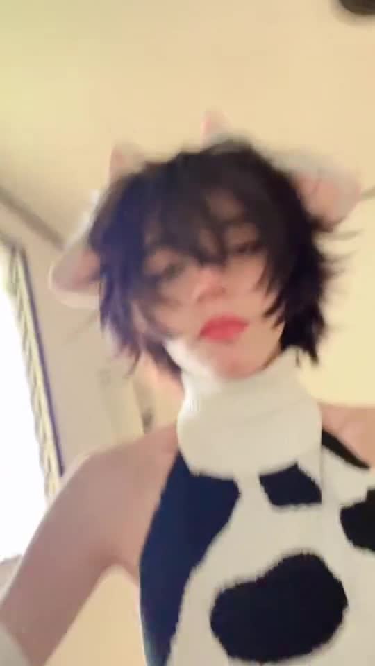 Video 1463507 from 1creppy / bingus cat / _1creepyy