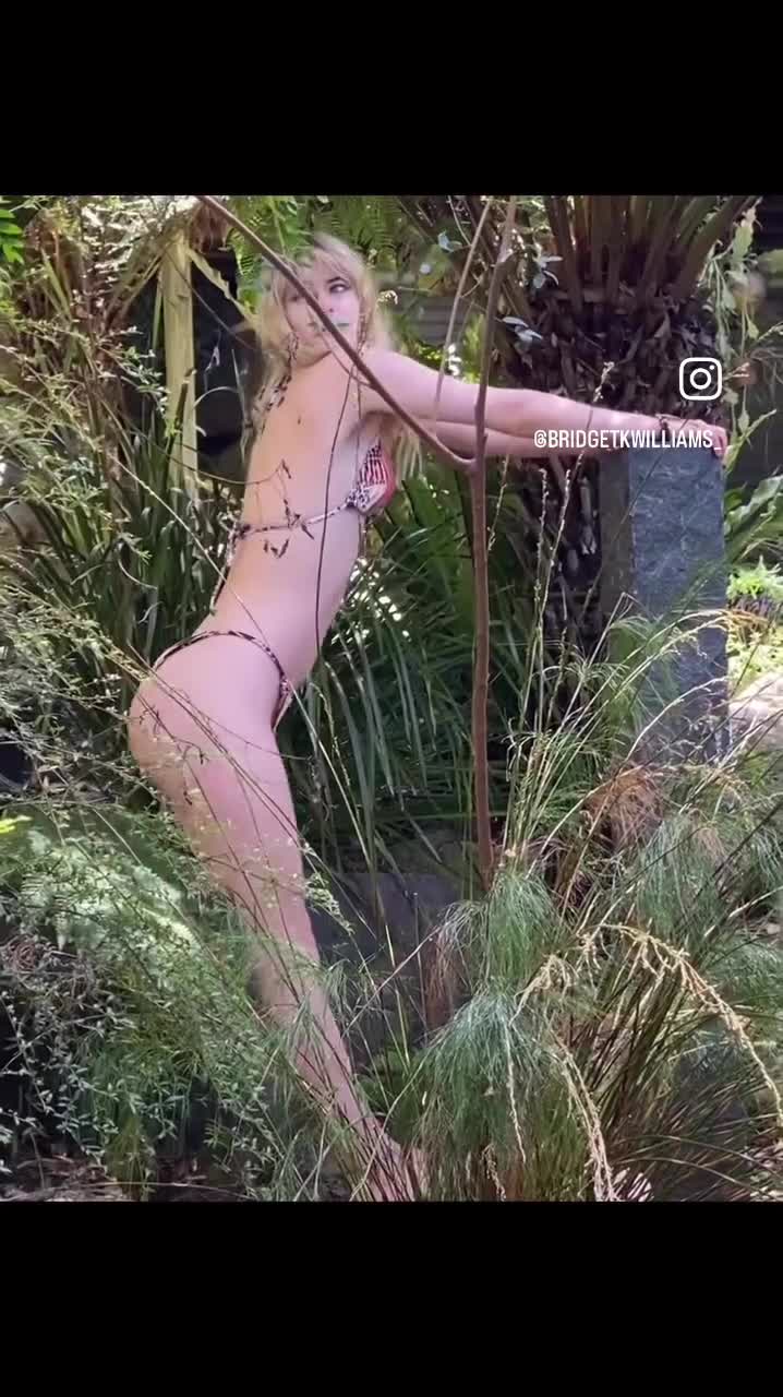 Video 1472430 from Bridget Williams/BridgetKWilliams_