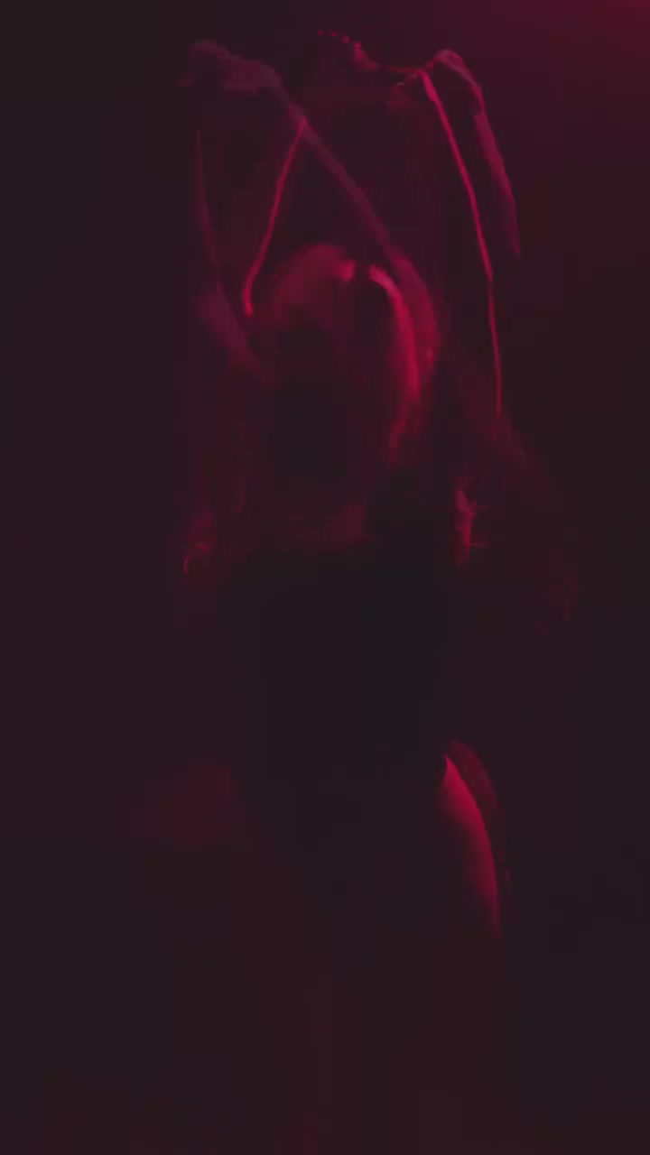 Video 1475532 from Heloise Hut