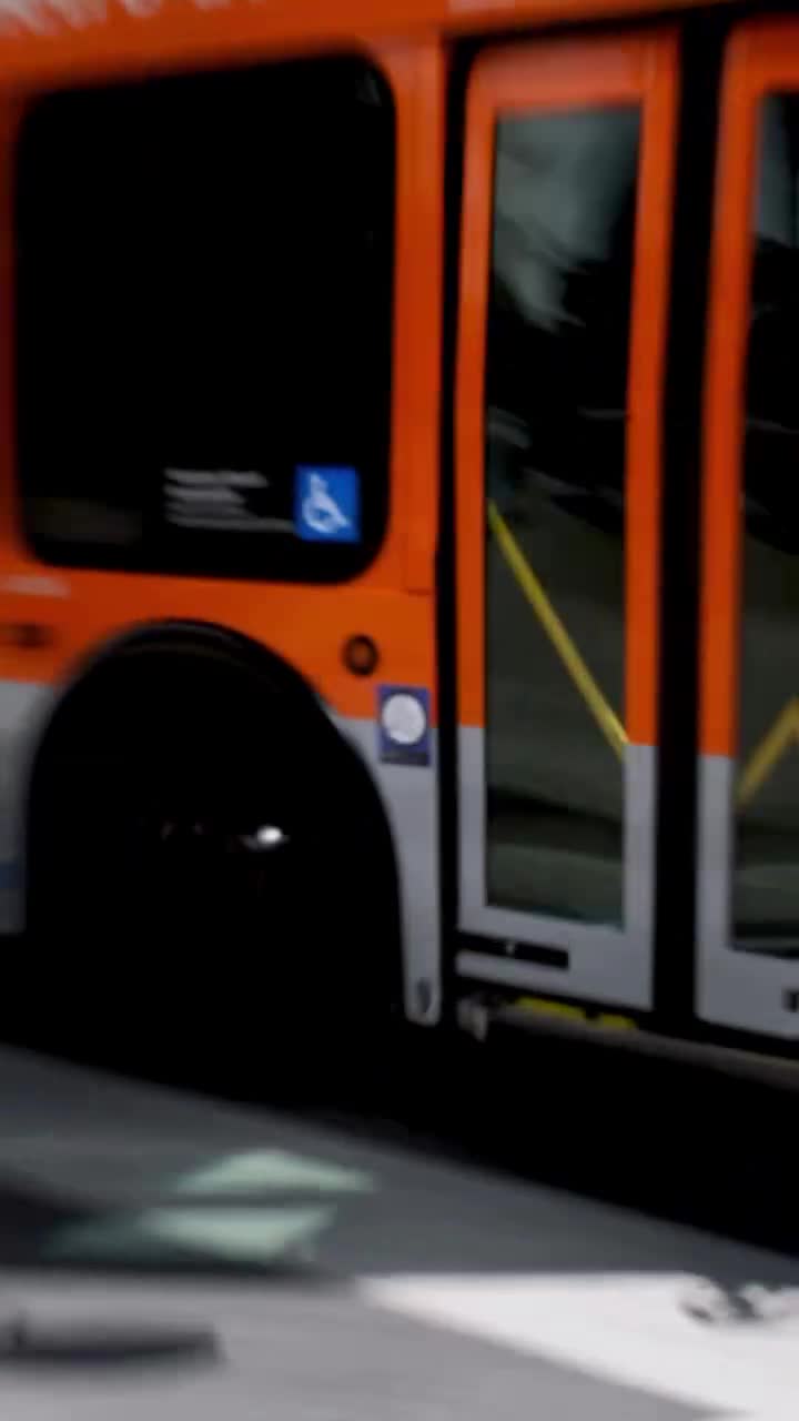 Video 1475547 from Heloise Hut