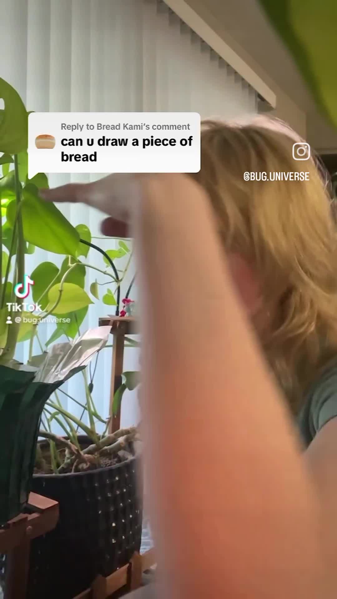 Video 1479335 from bug.universe