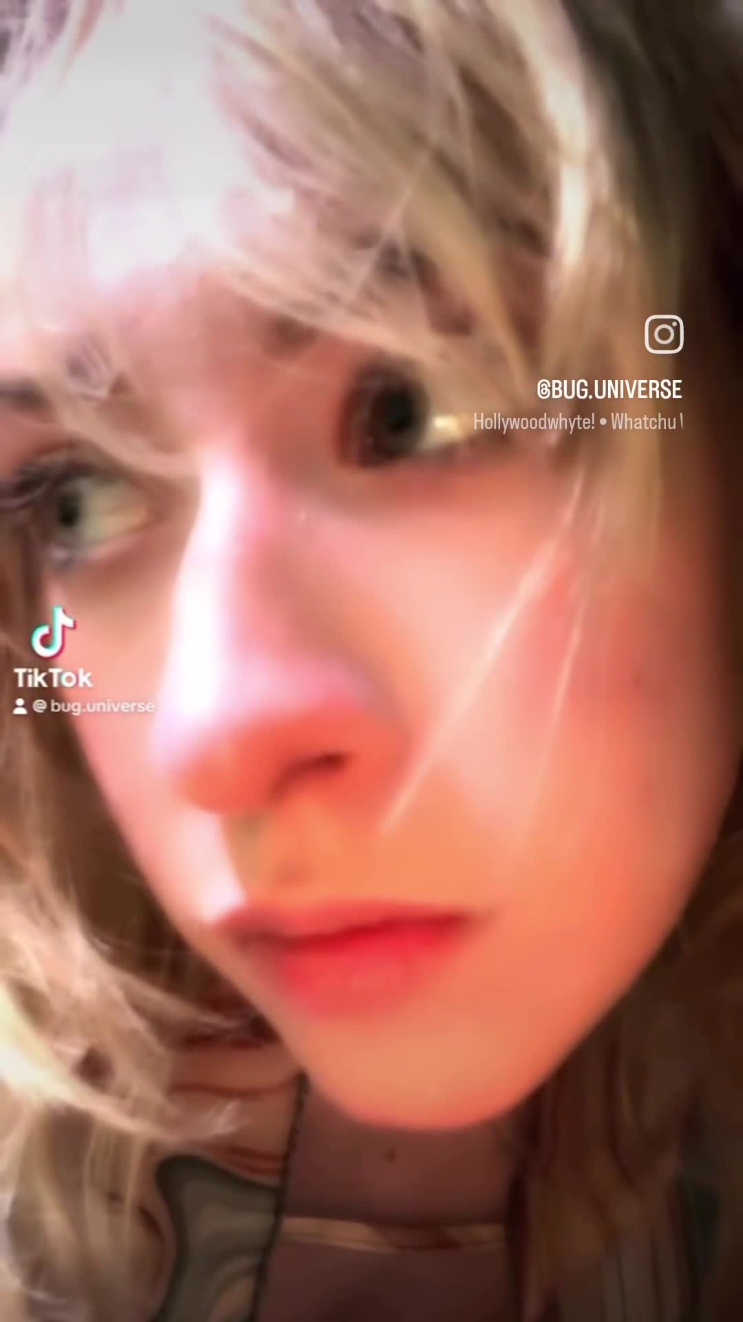 Video 1479338 from bug.universe