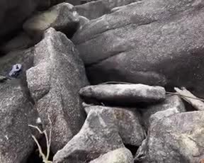Video 1486358 from Mia Z - miaz1234