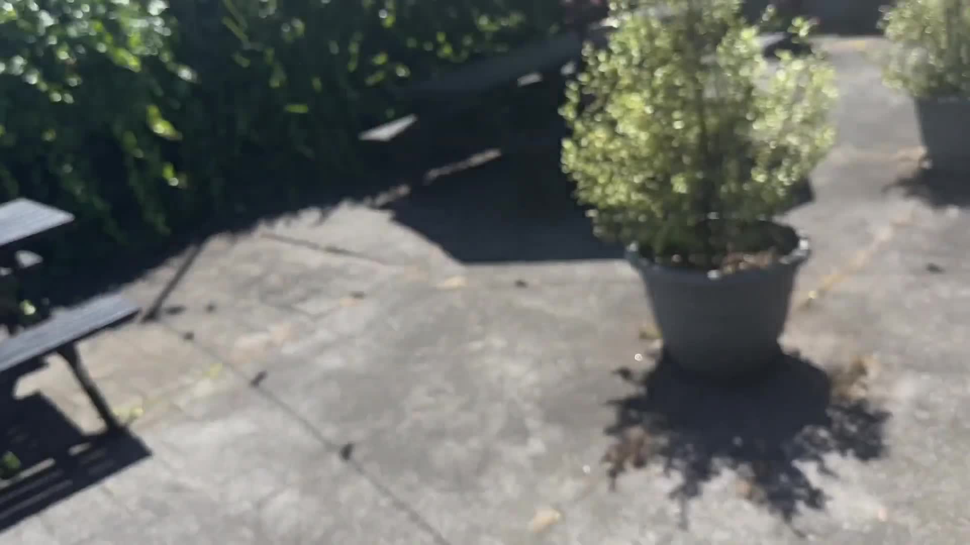 Video 1486371 from Mia Z - miaz1234