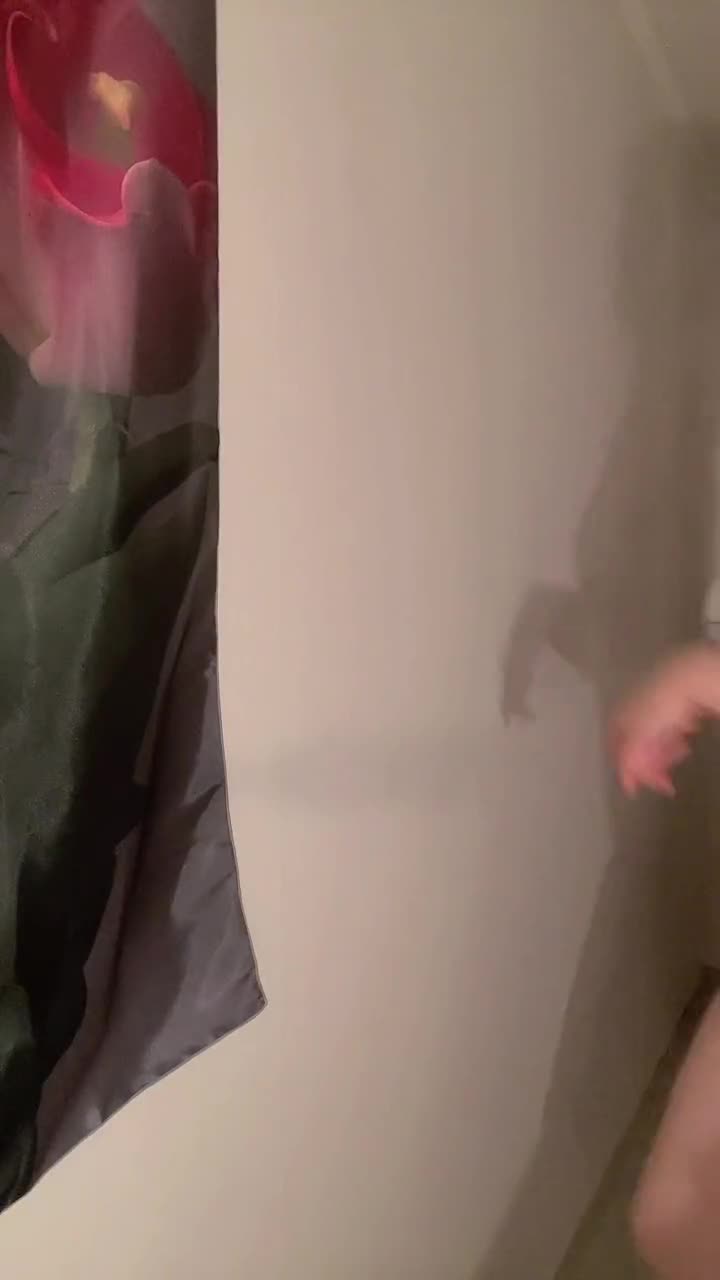 Video 1498415 from Heeheemoon / moon_nyang_