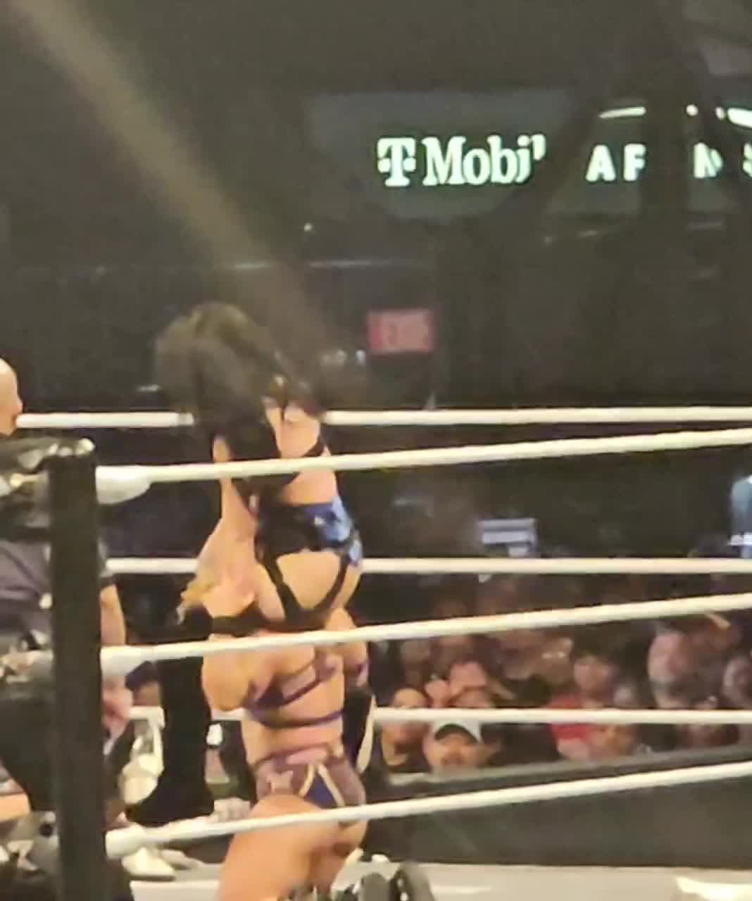 Video 1501745 from Stephanie vaquer
