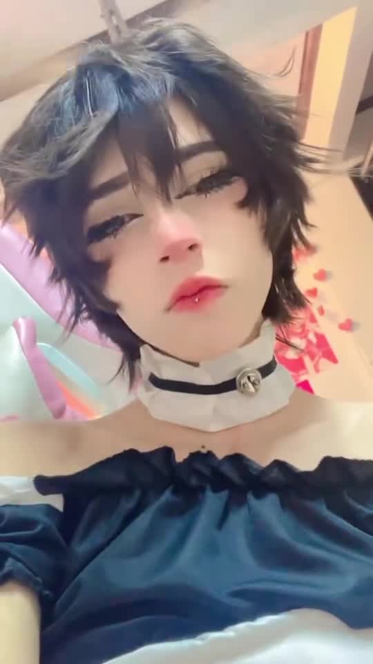 Video 1502892 from 1creppy / bingus cat / _1creepyy