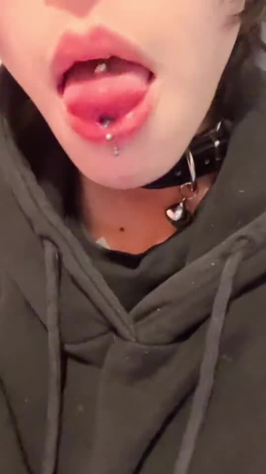 Video 1502925 from 1creppy / bingus cat / _1creepyy
