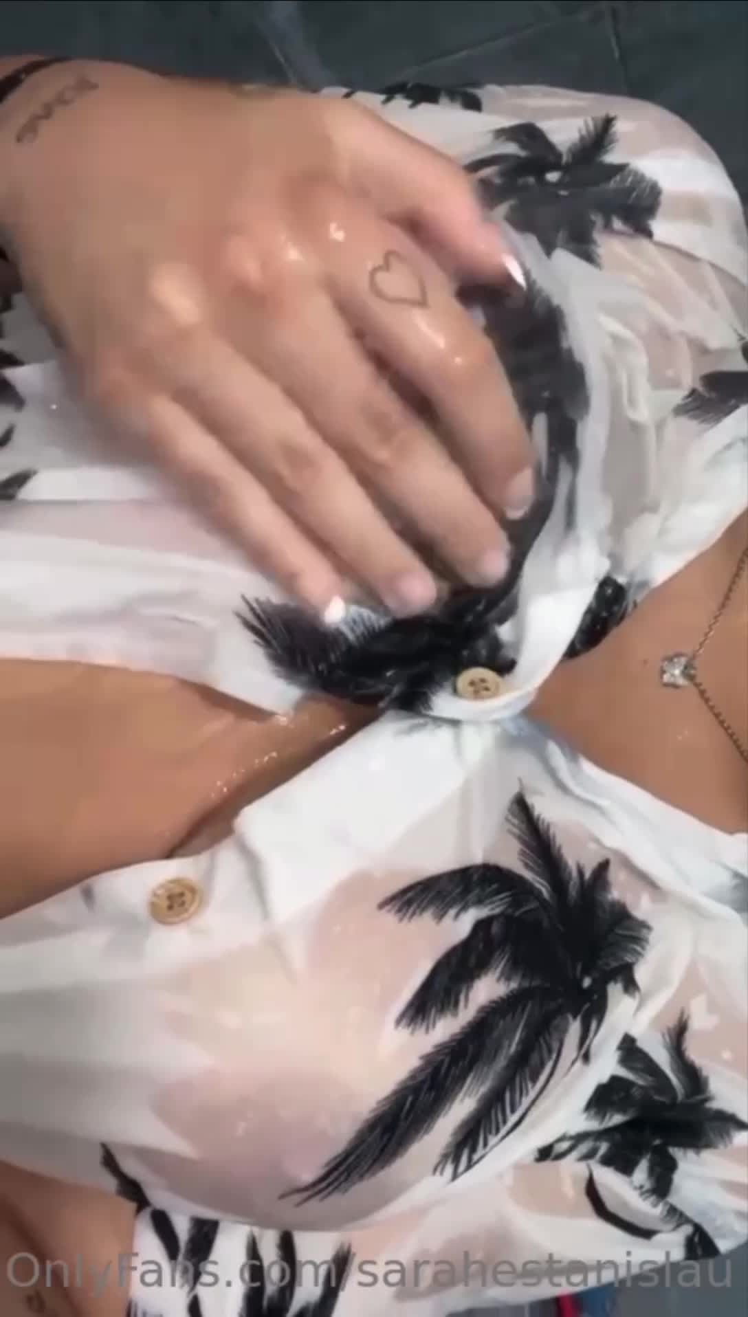 Video 1505550 from Sarah Estanislau