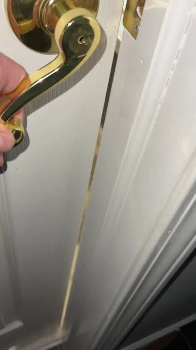 Video 1511492 from Jakara Mitchell