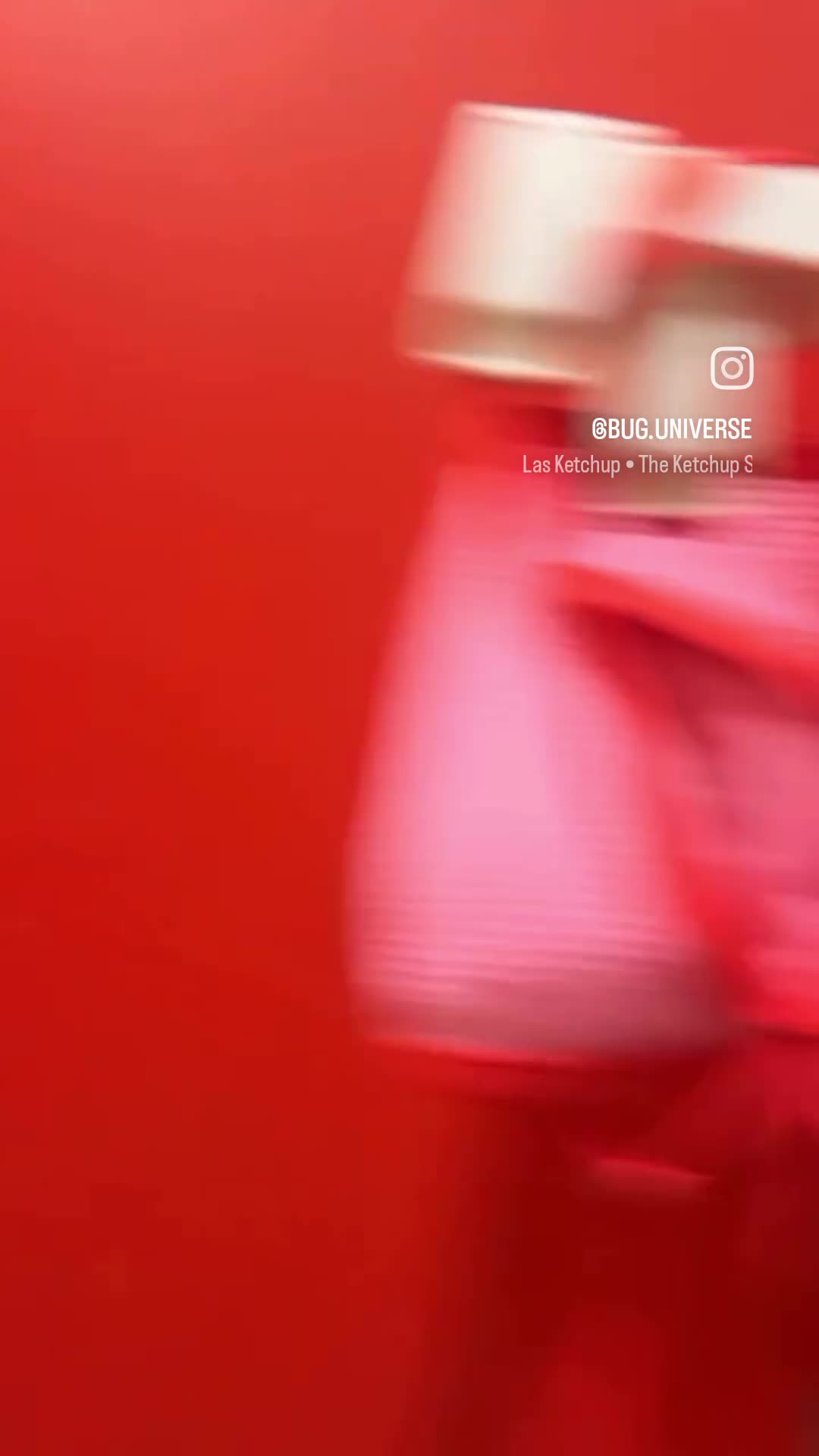 Video 1513045 from bug.universe