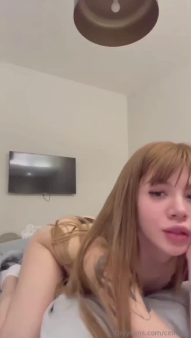 Video 1514305 from celiett - Luciana Orcellet