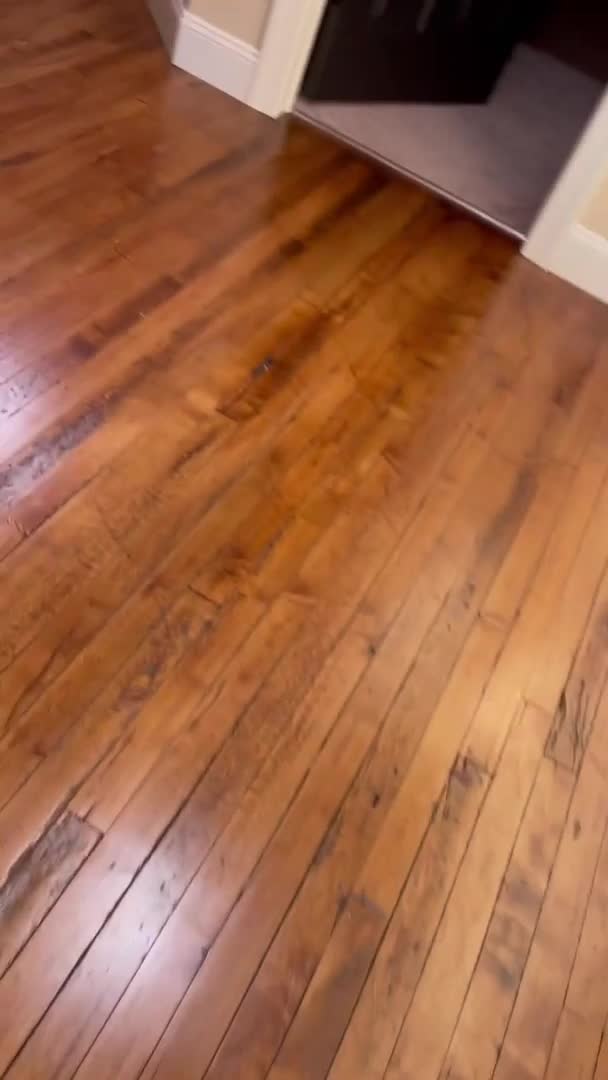 Video 1516344 from Jakara Mitchell