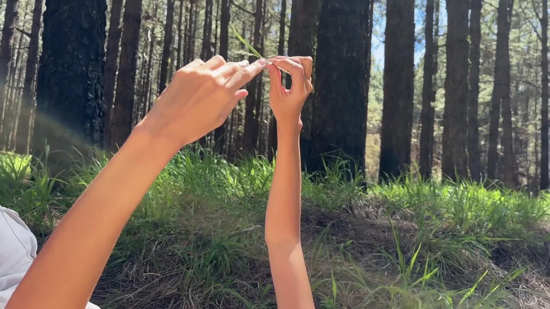 Video 1520892 from Anna Ralphs
