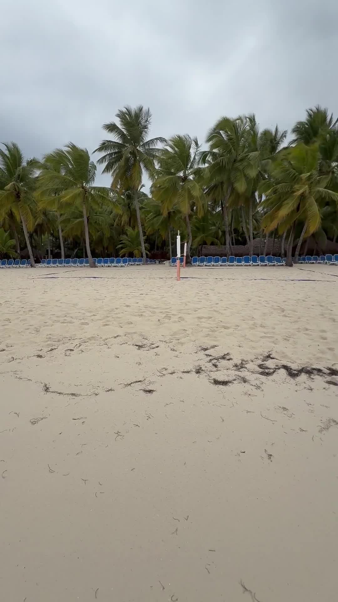 Video 1521068 from Akkcess