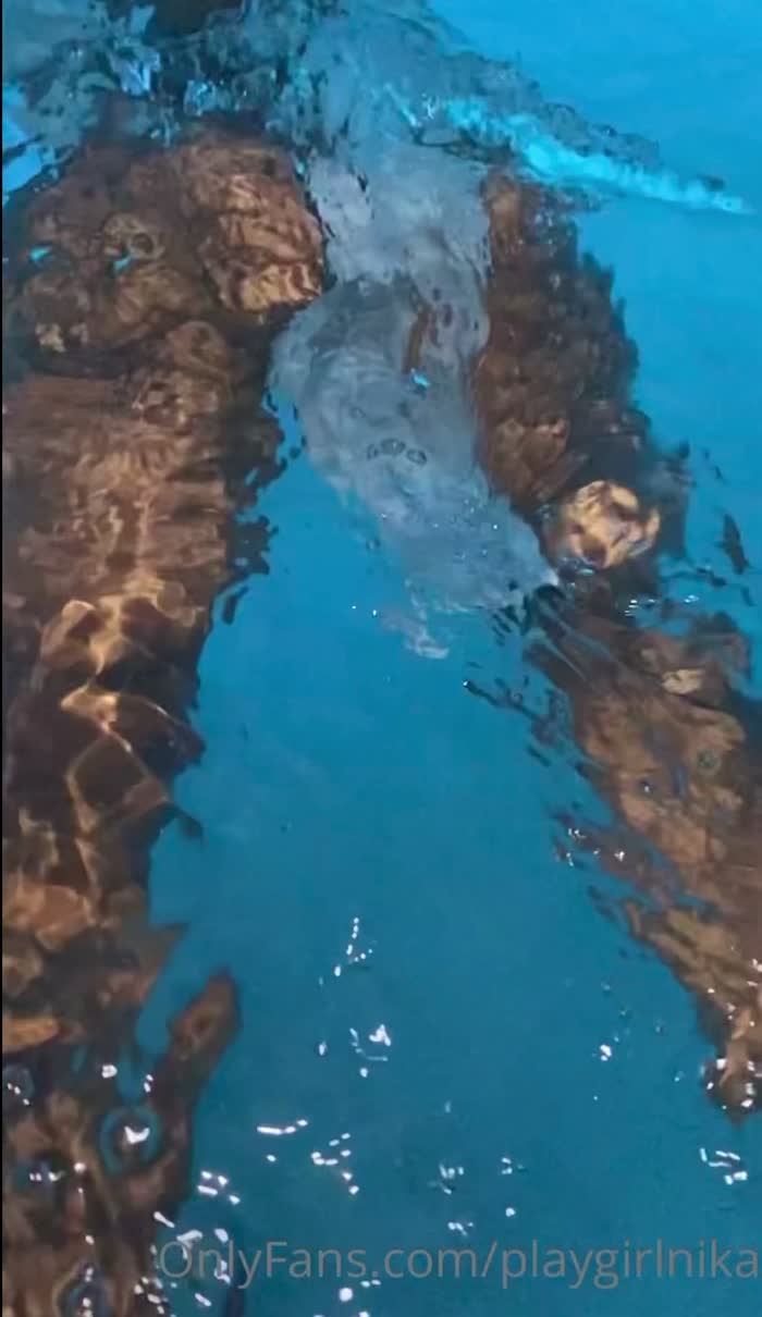 Video 1523850 from Nikairani