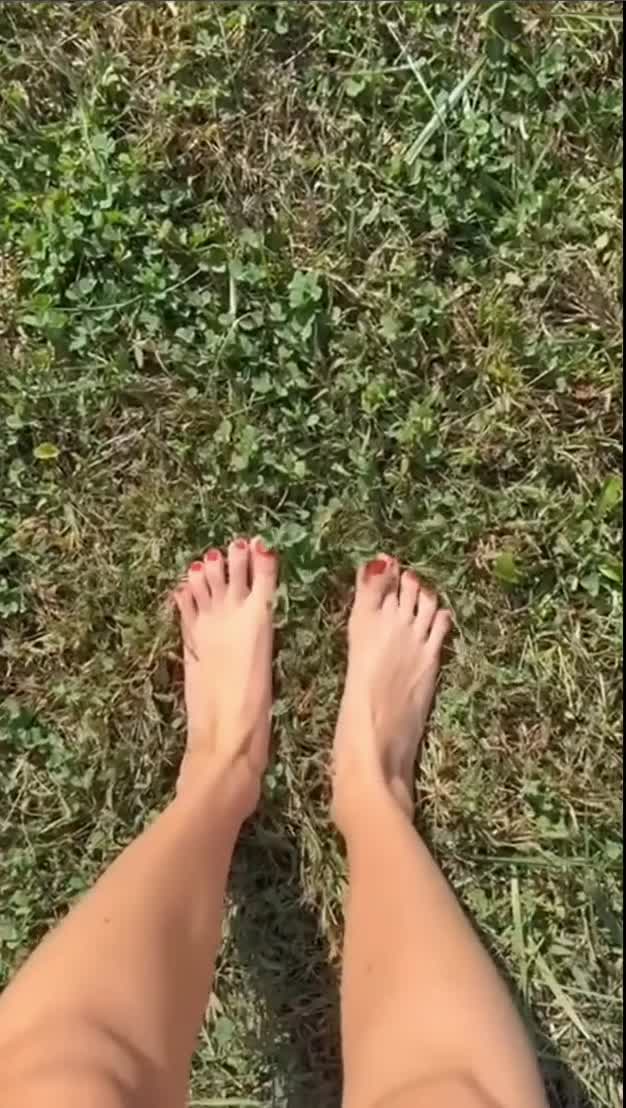 Video #1524331 thumbnail