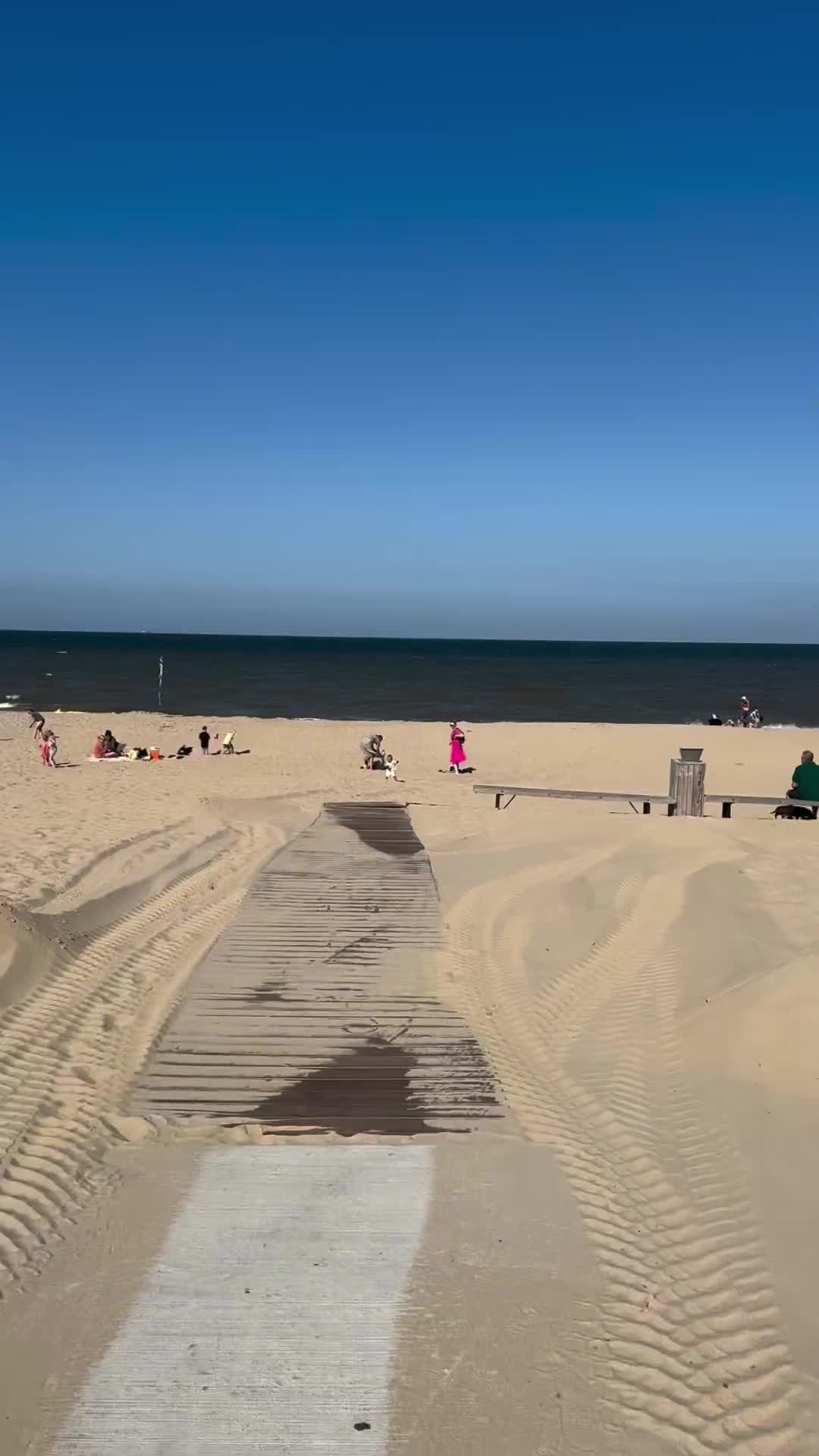 Video 1524894 from Wieke