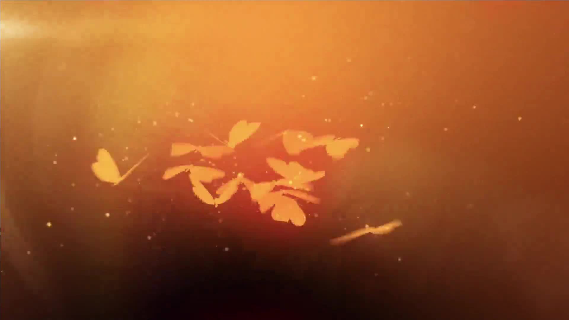Video 1525022 from MonaMystery