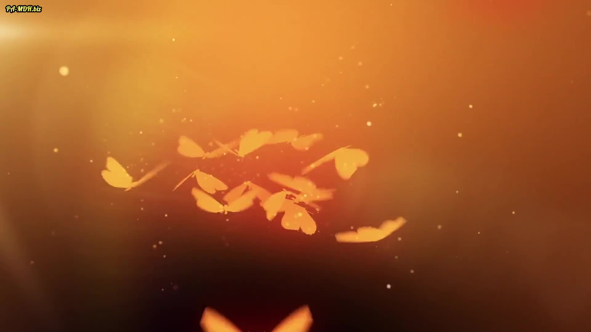 Video 1525613 from MonaMystery