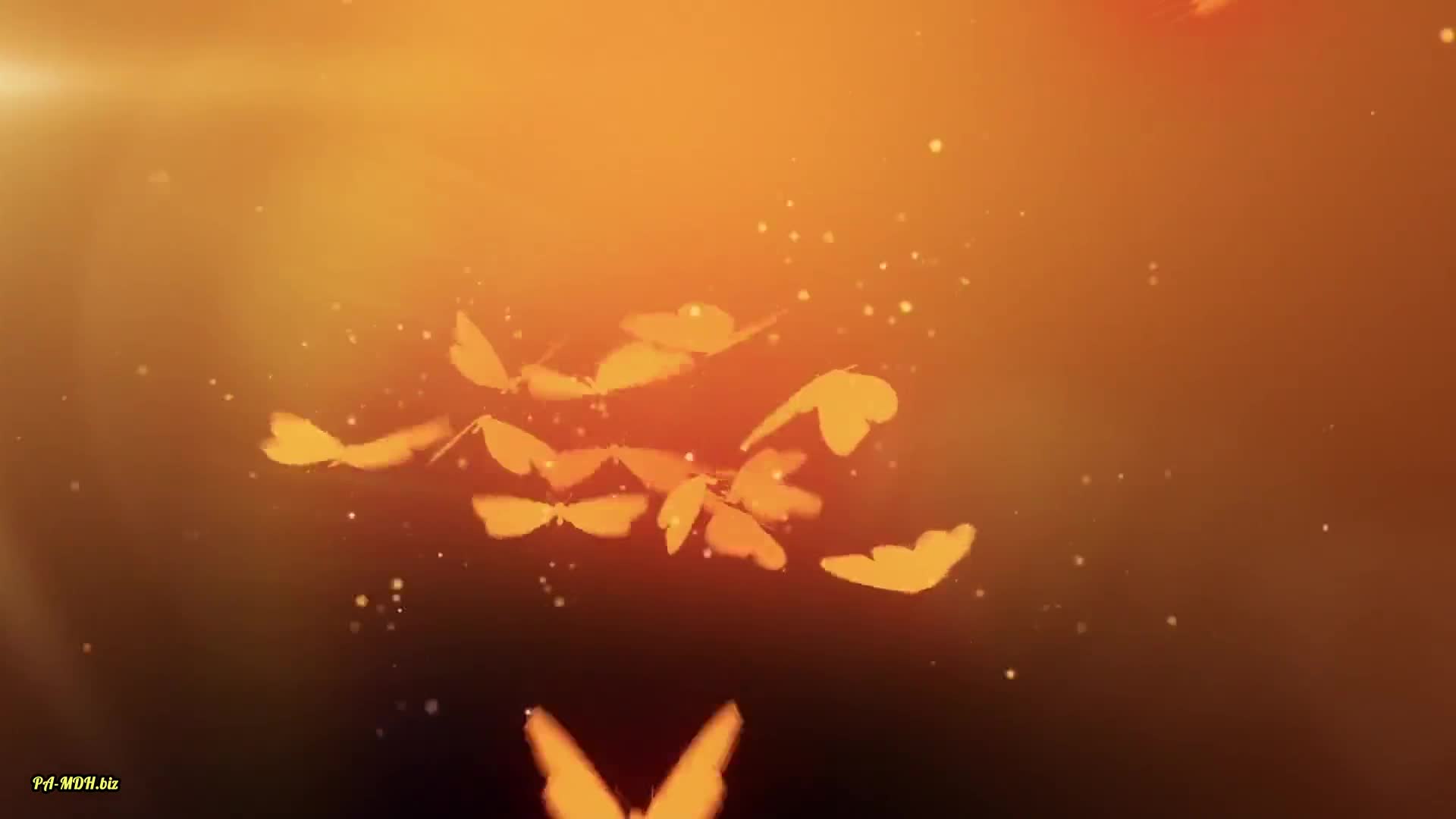 Video 1525822 from MonaMystery