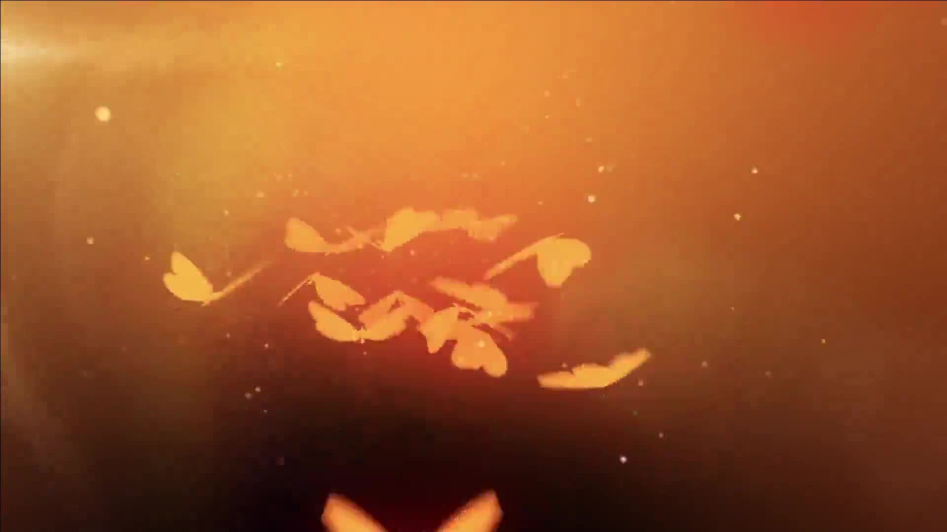 Video 1525826 from MonaMystery