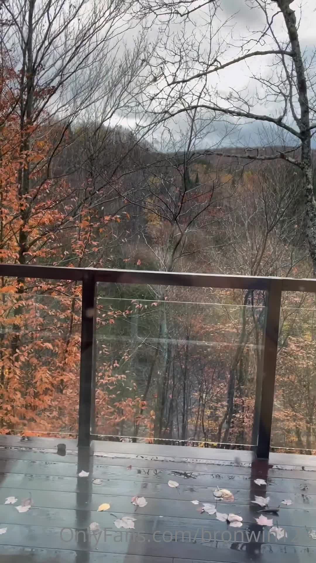 Video 1528750 from Bronwin Aurora