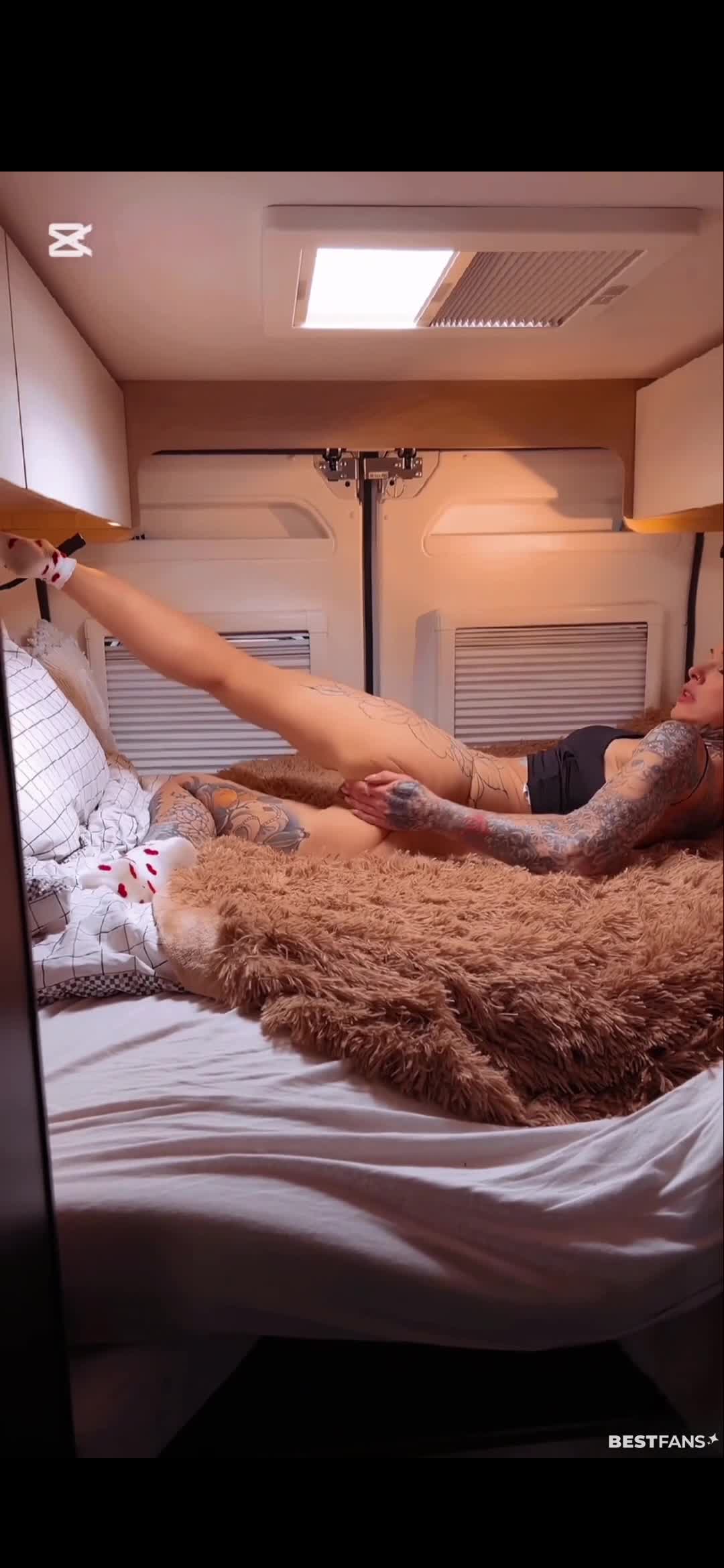 Video #1531230 thumbnail