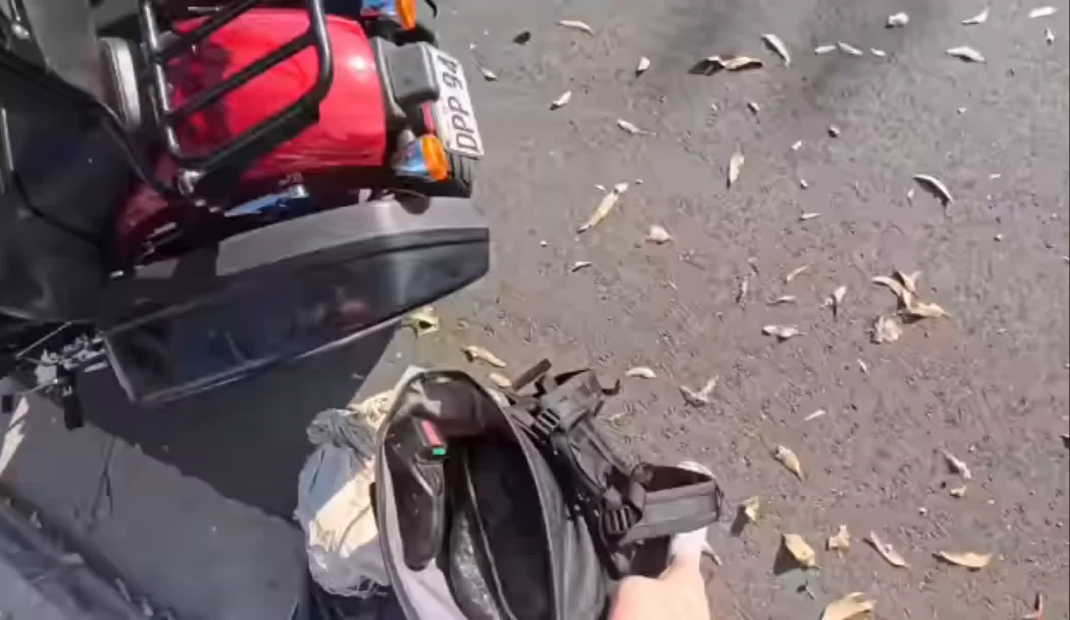 Video 1532734 from Affe auf Bike