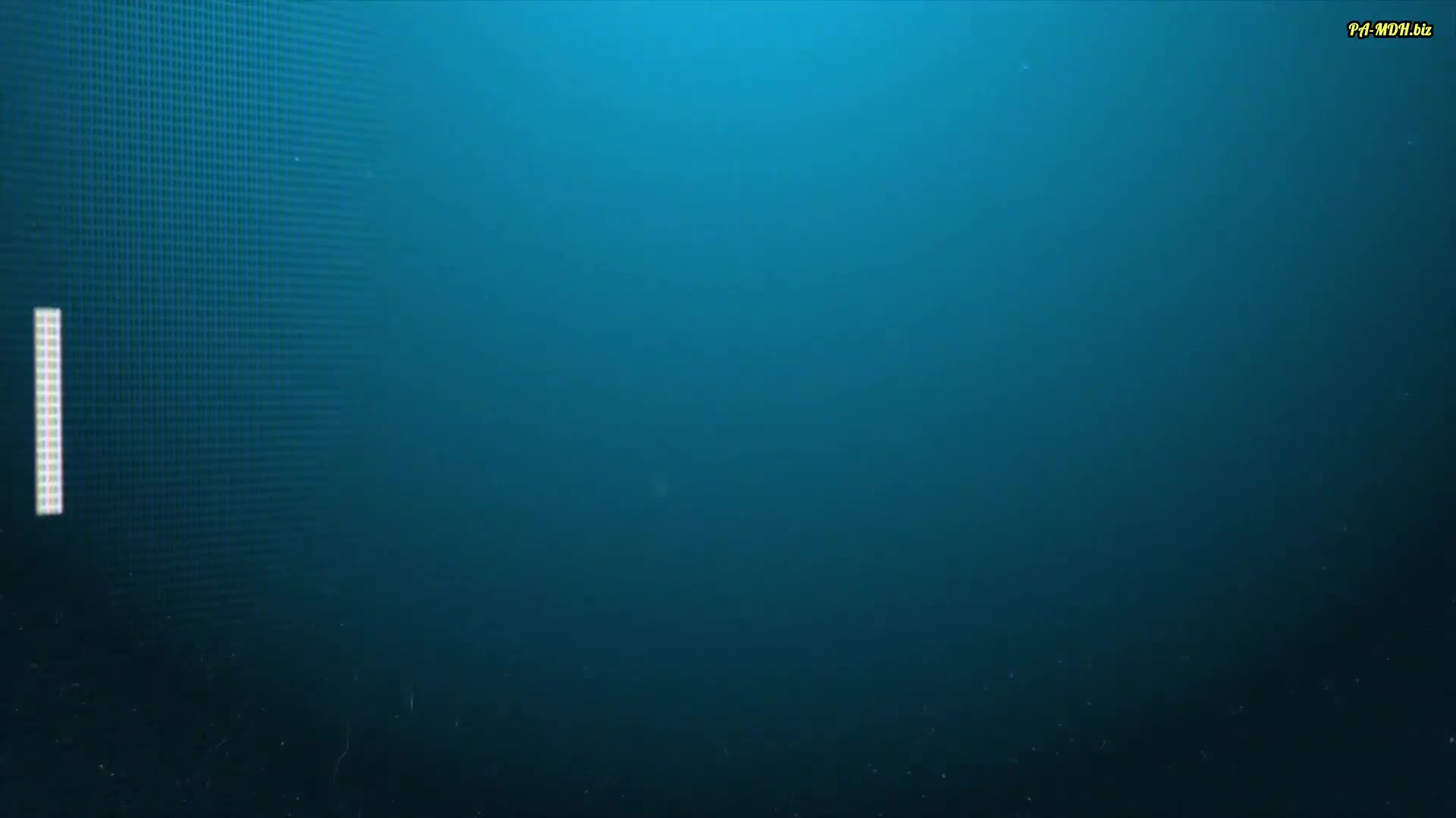 Video 1533832 from Lara Cumkitten