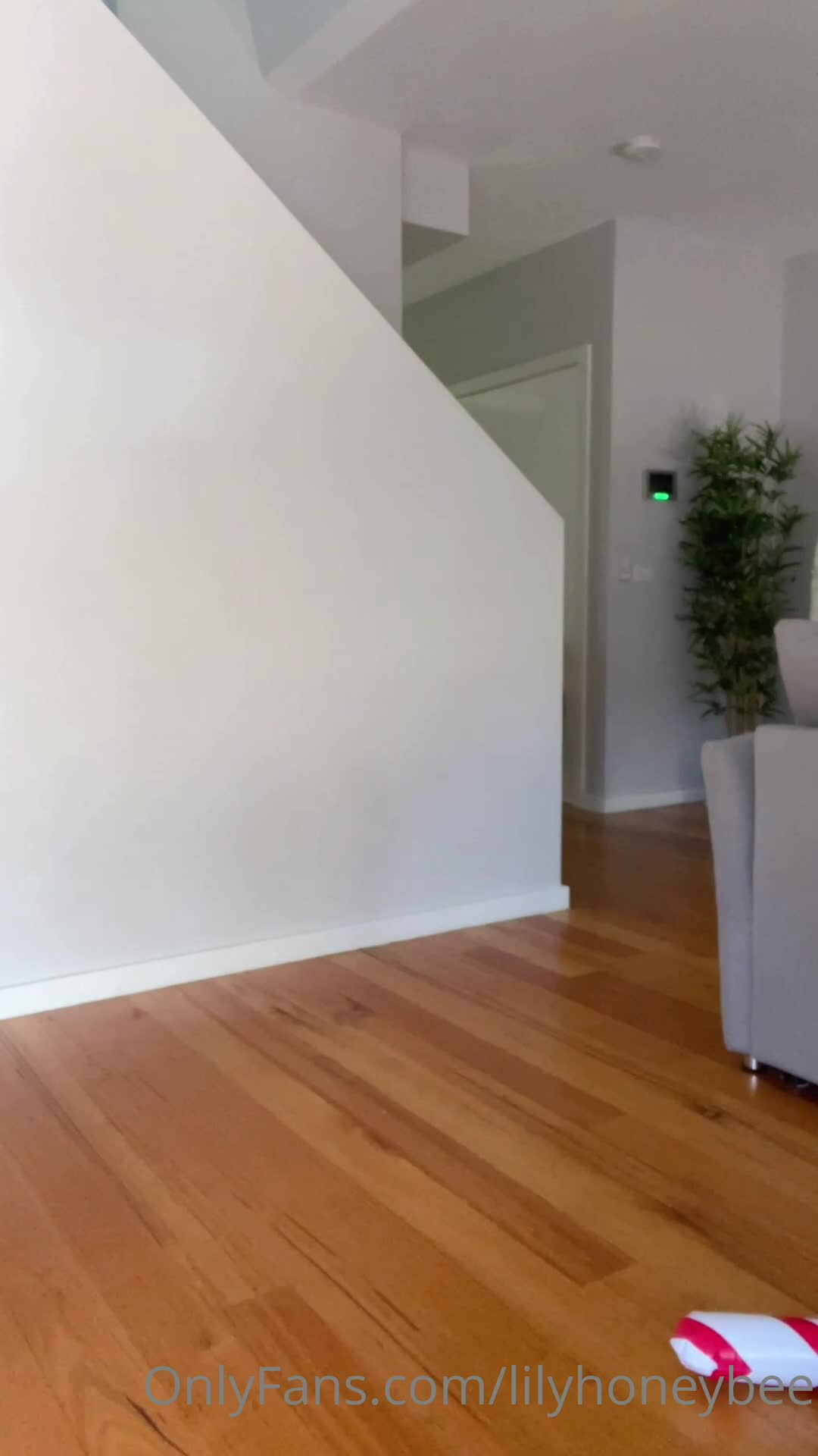 Video 1533881 from Lilyhoneybee1