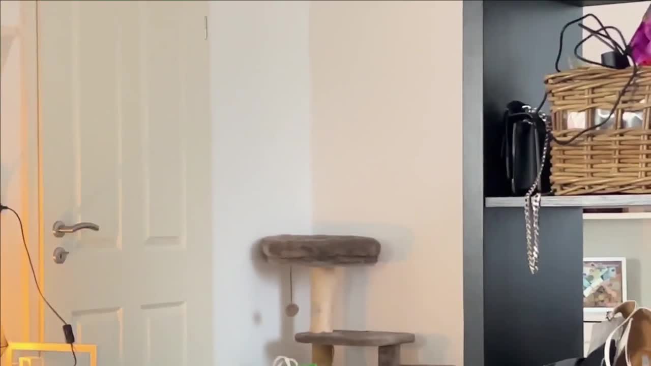 Video 1535065 from Roxi Black
