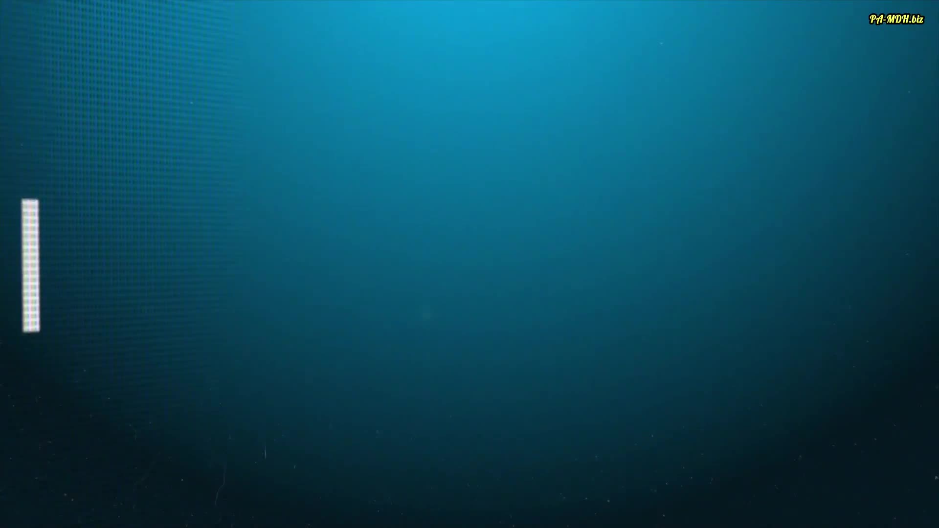 Video 1535338 from Lara Cumkitten