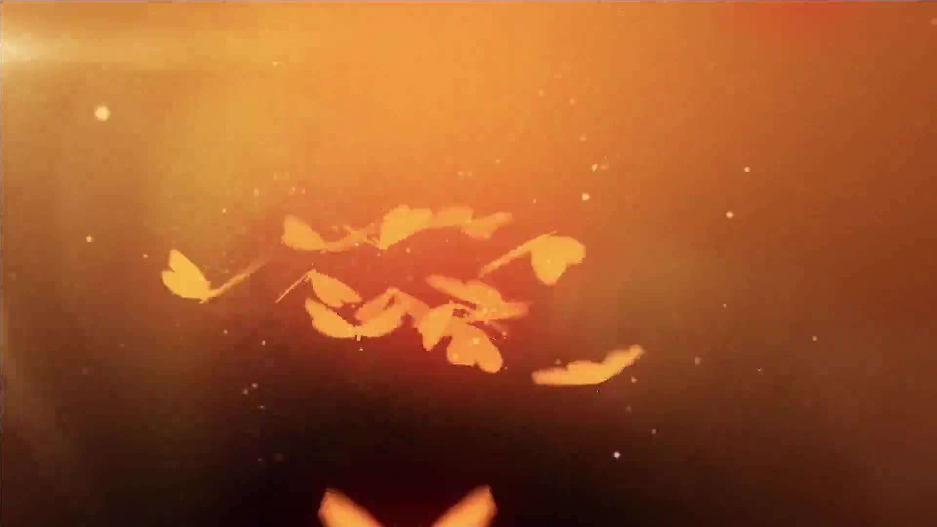 Video 1537251 from MonaMystery