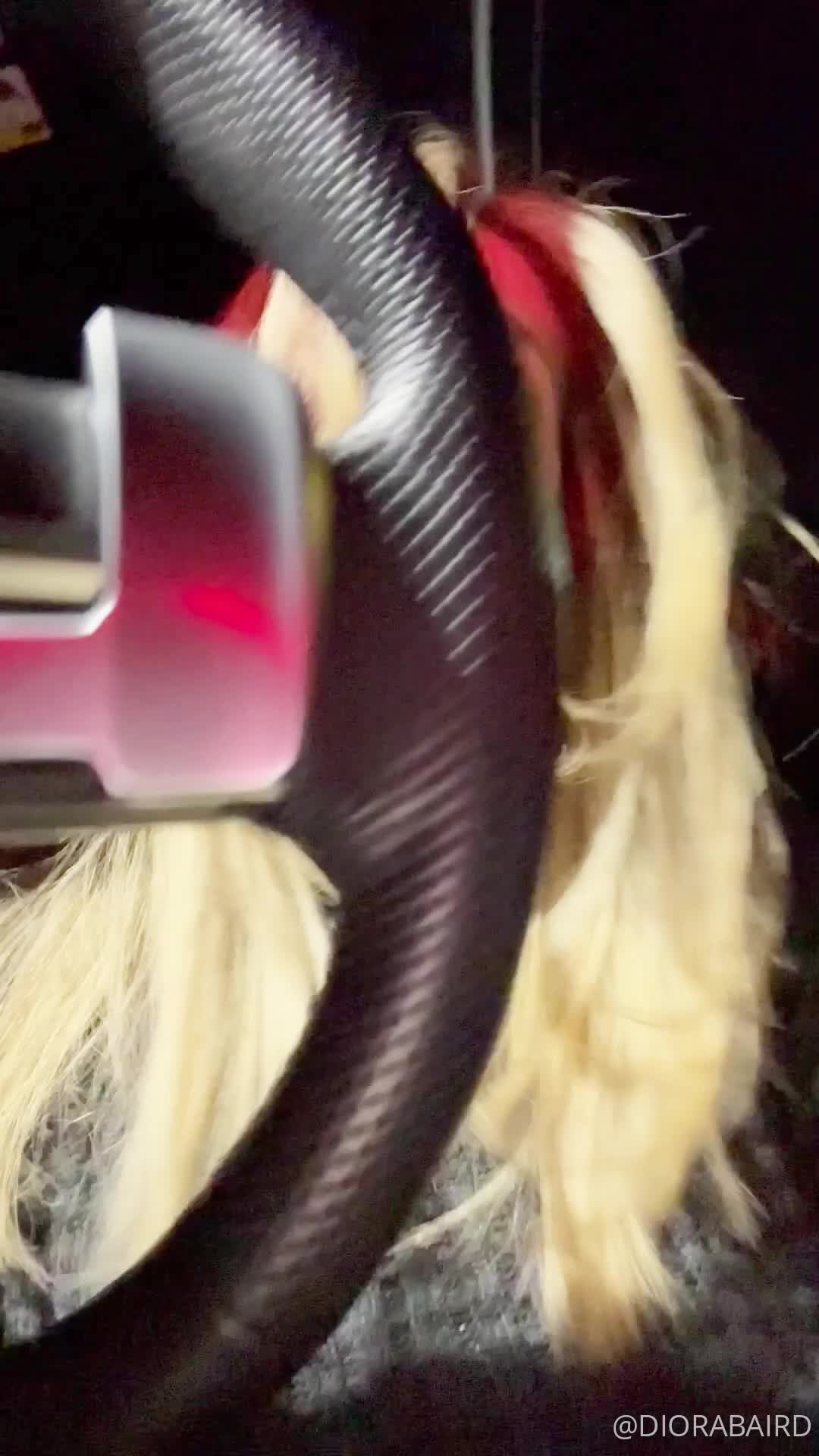 Video 1539385 from Diora Baird