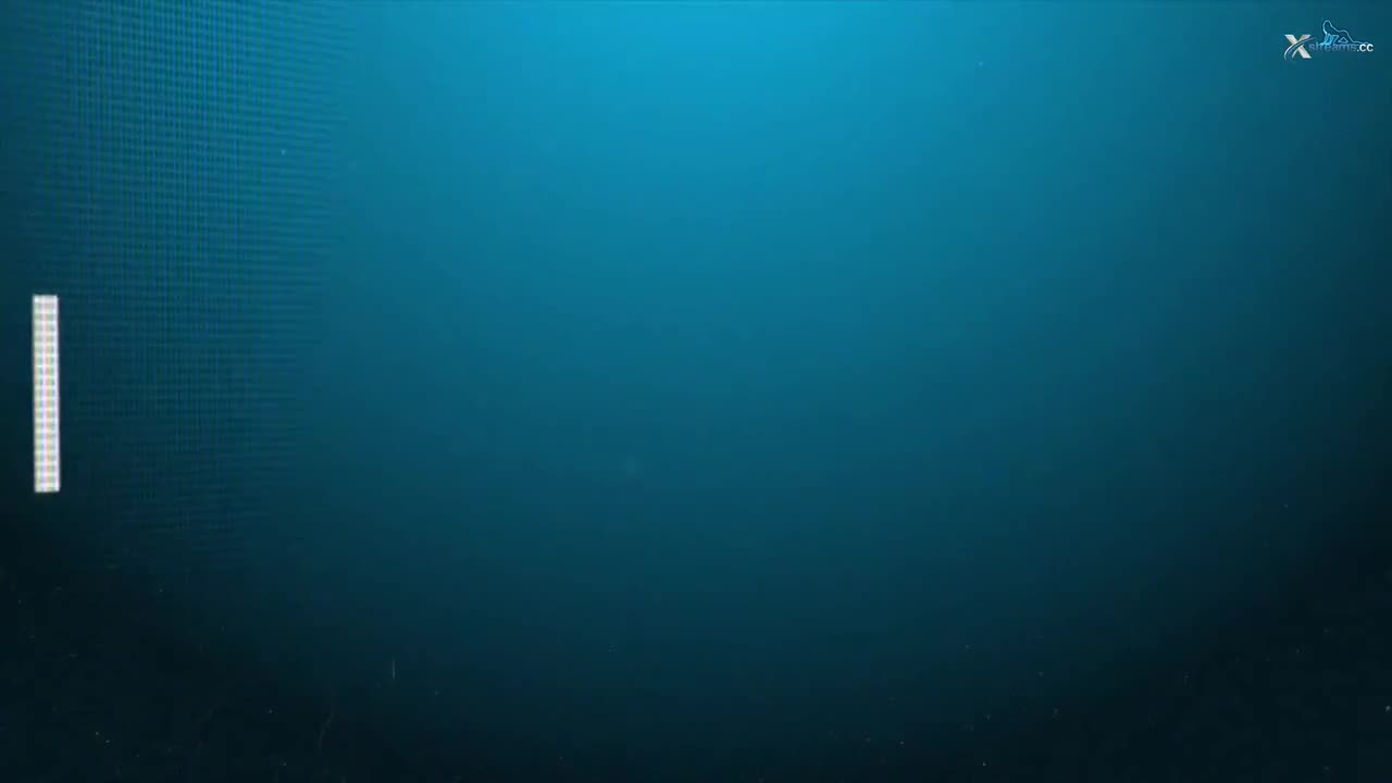 Video 1541104 from Lara Cumkitten