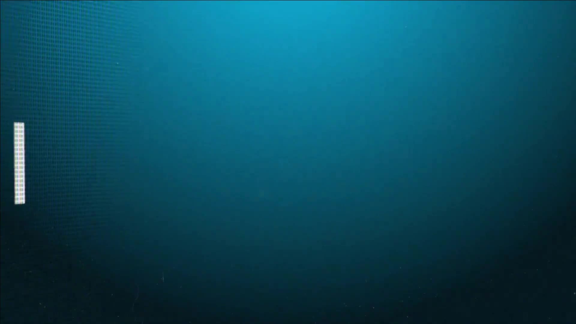 Video 1541309 from Lara Cumkitten