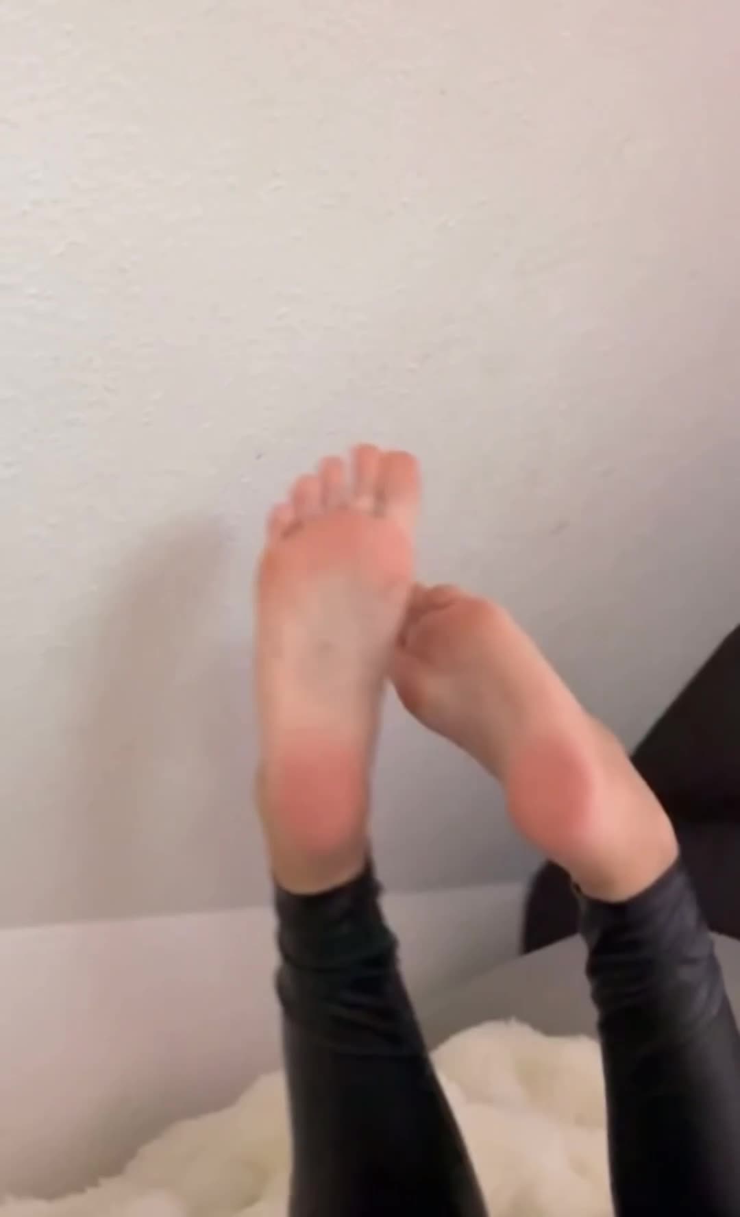 Video #1541399 thumbnail