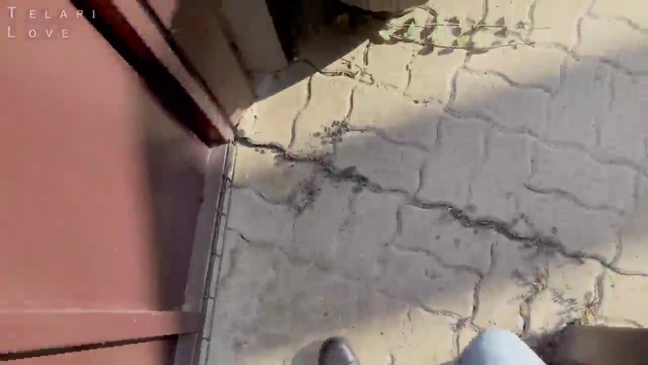 Video 1544897 from Telari Love