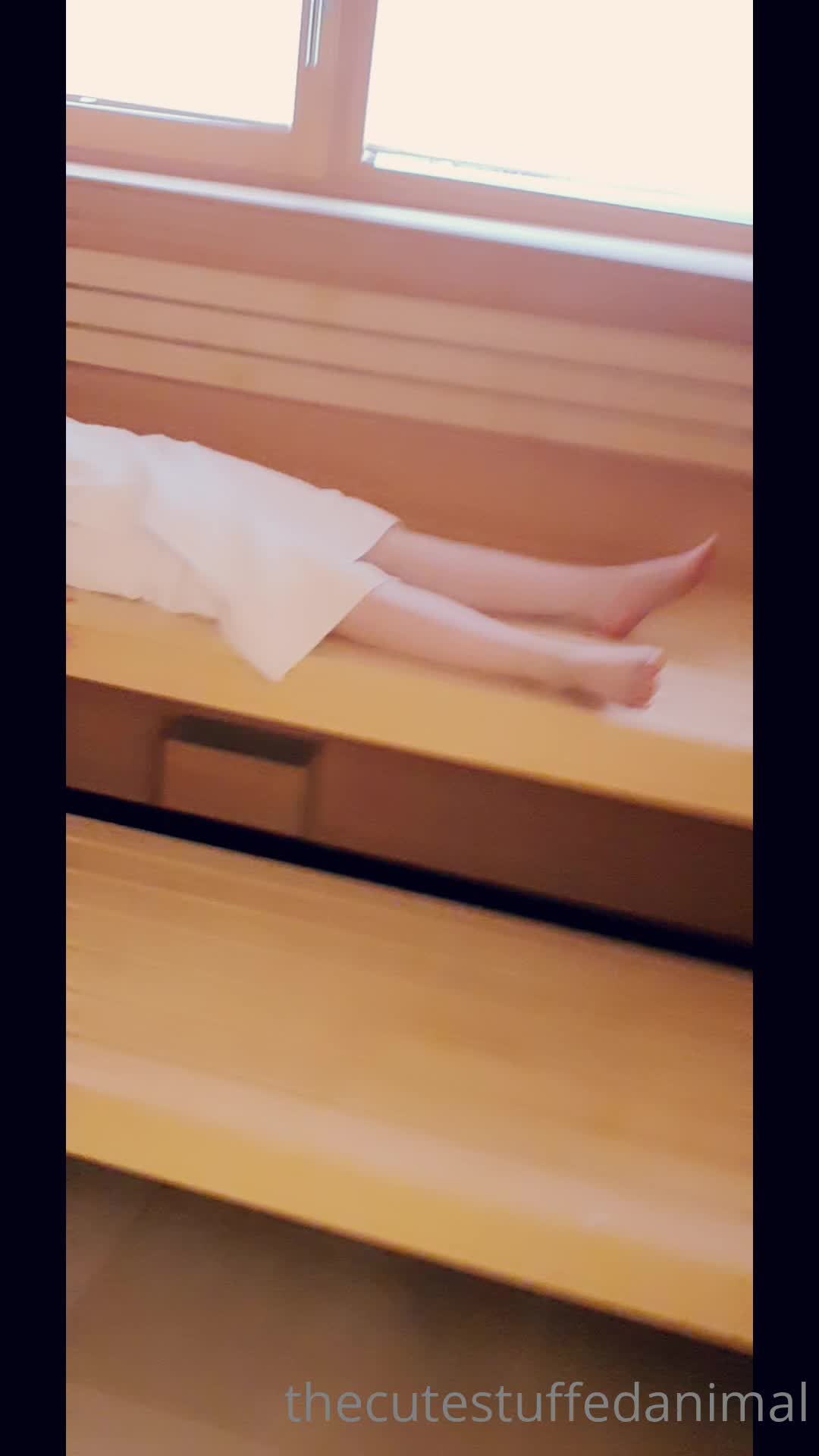 Video 1546742 from thecutestuffedanimal