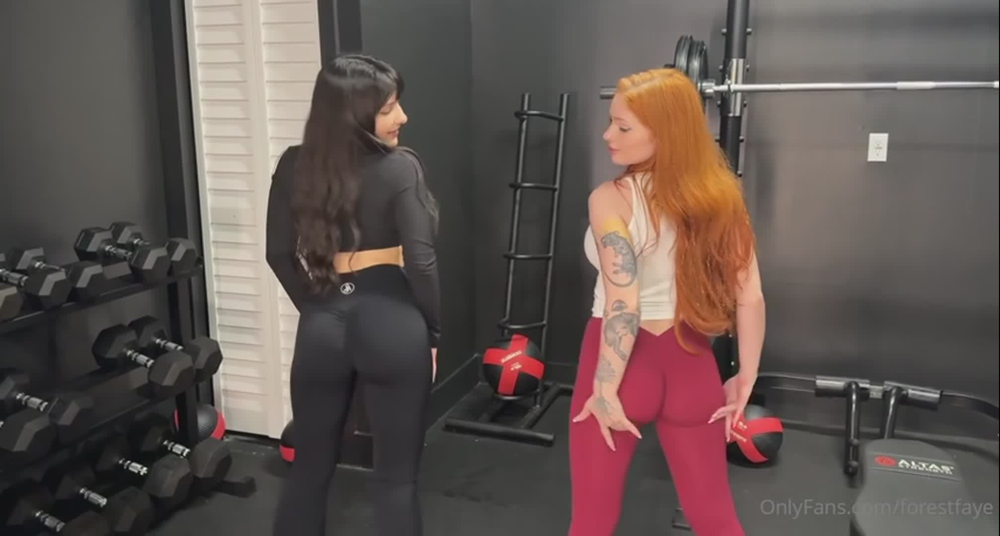Video 1547938 from forestfaye