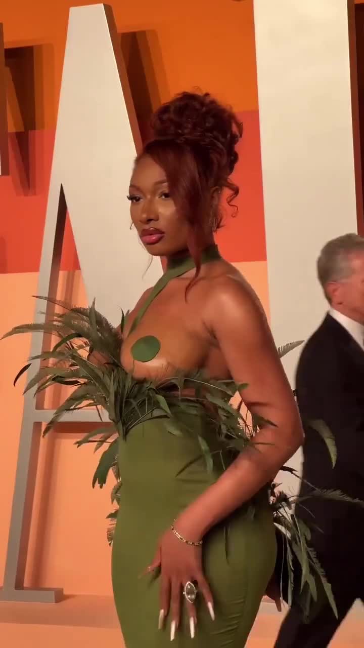 Video 1560026 from Megan thee stallion