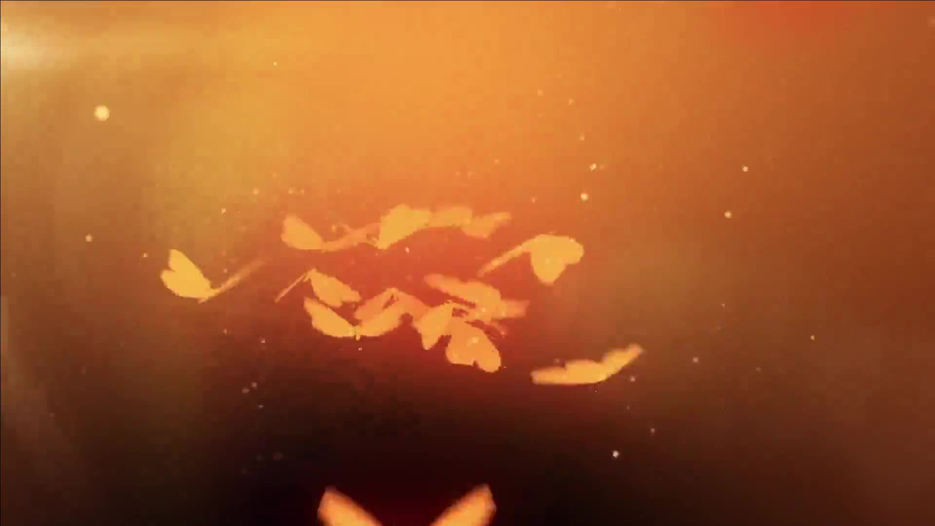Video 1562274 from MonaMystery