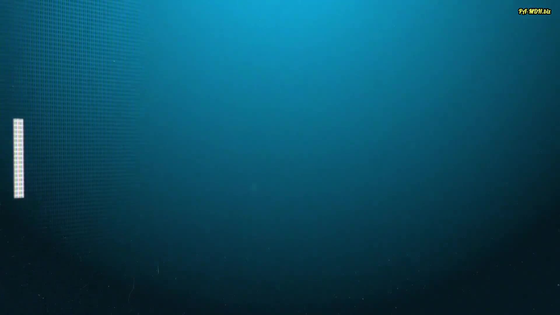 Video 1563658 from Lara Cumkitten